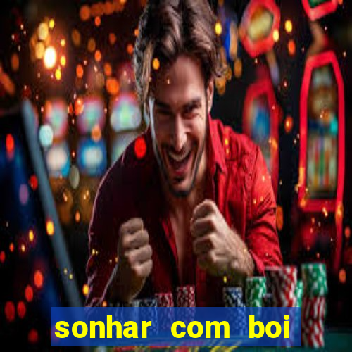 sonhar com boi branco jogo do bicho